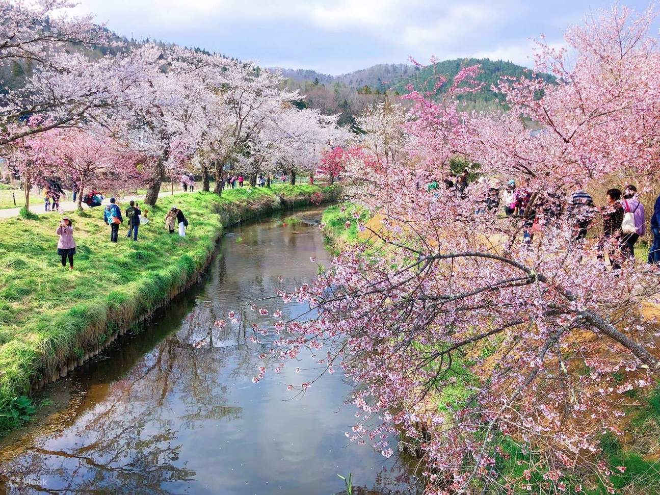 【橋本シャーン】Makuhari Gardenwalk hqdefault.jpg